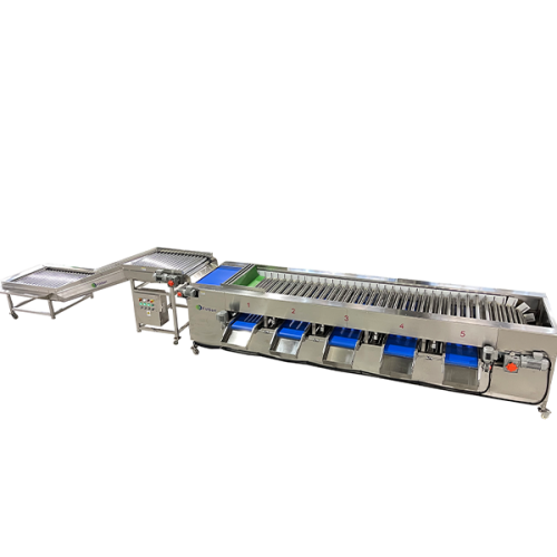 cucumber grading machine cucumber grading machine