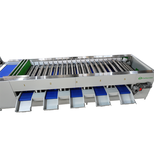 fruit roller sizer fruit roller sizer