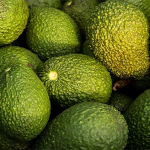 Etiopía Estrena Su Segunda Línea De Procesado De Aguacate